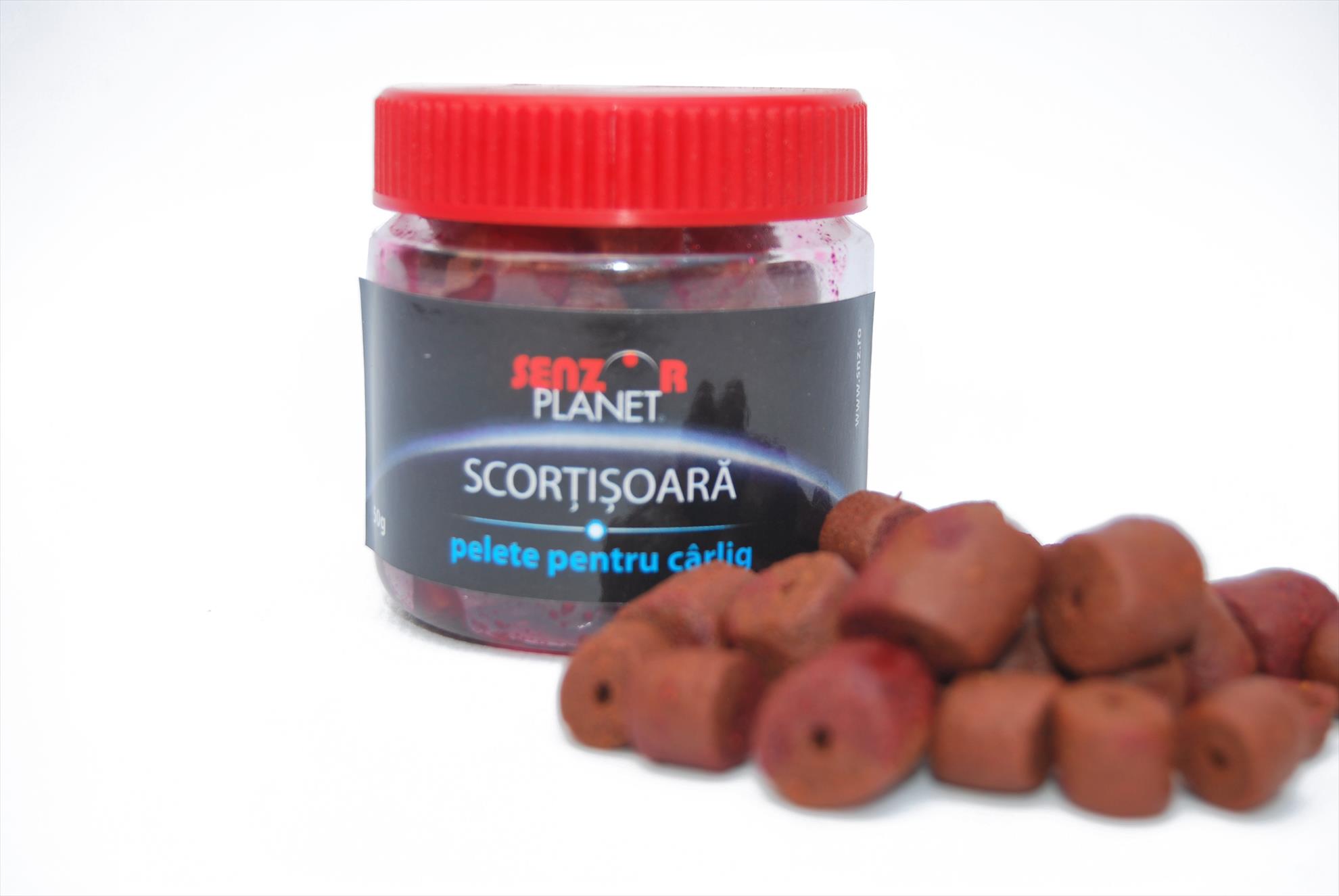 AUGUST 2013 - snz-089.jpg